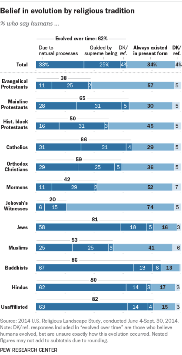 Evolution statistics