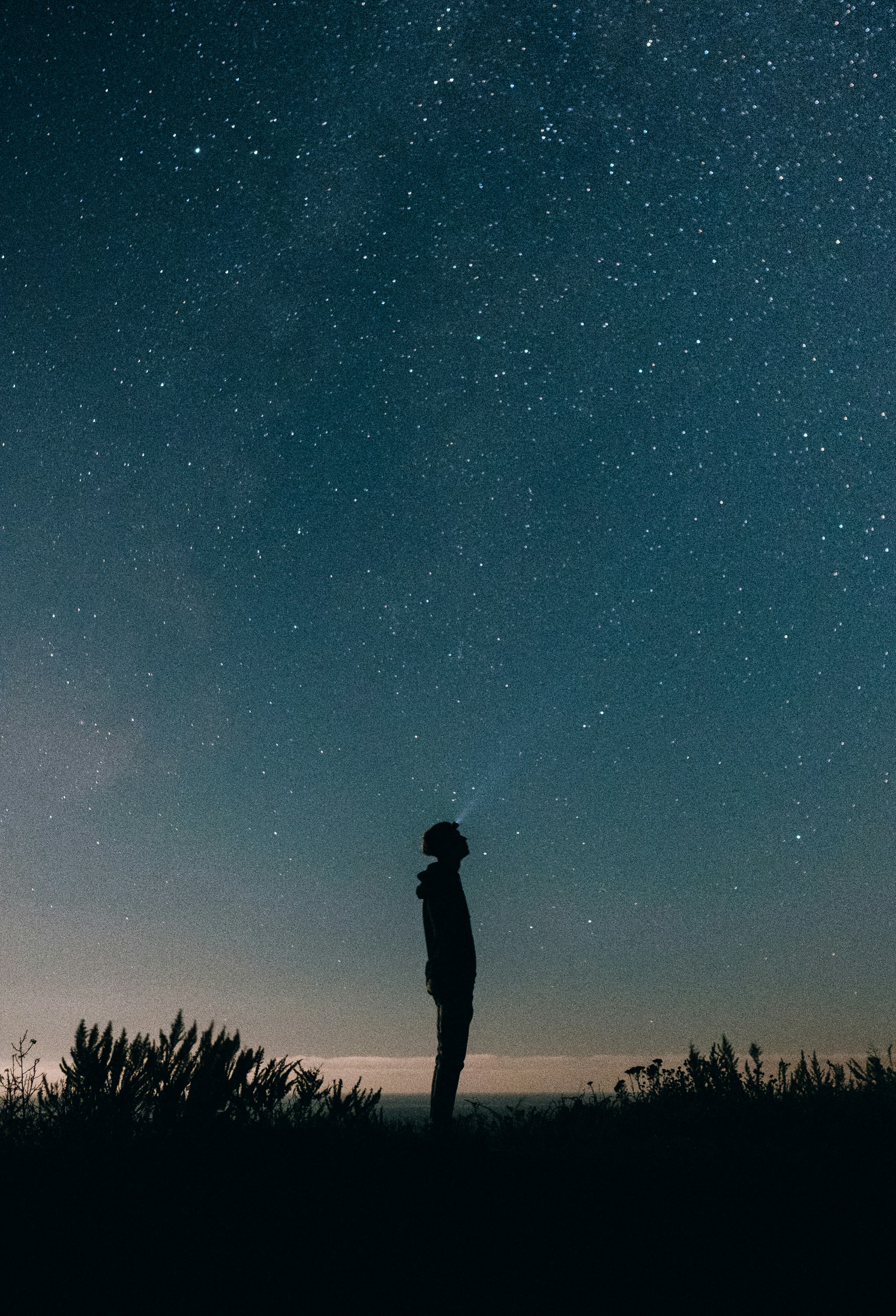 Image from Noah Buscher